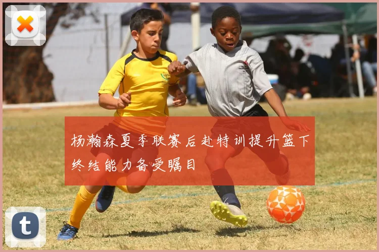 杨瀚森夏季联赛后赴特训提升篮下终结能力备受瞩目